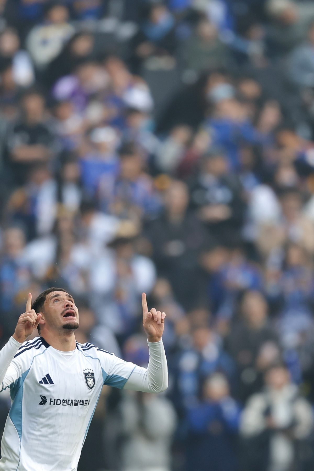 蔚山HD夜高。 =图为,韩国职业足球联盟提供。