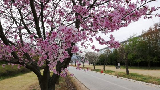 /Photo provided = Korea Sports Promotion Foundation