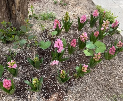 =照片=宋慧乔个人账号。