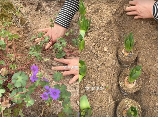 宋慧乔个人账户