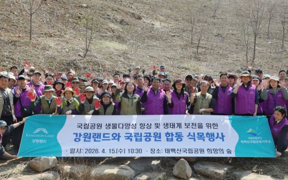 /Photo courtesy of Gangwon Land