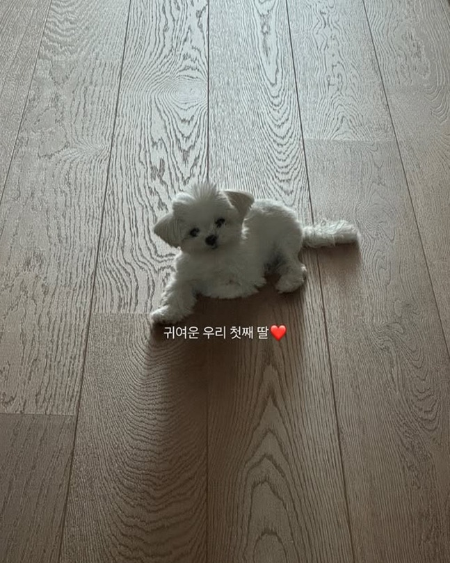 /Photo= Nam Bo-ra SNS