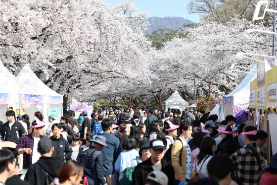 /Photo courtesy of Korea Racing Authority