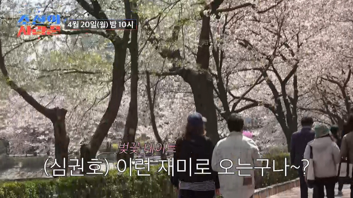 /Photo provided by TV CHOSUN 'Joseon's Love Expert'