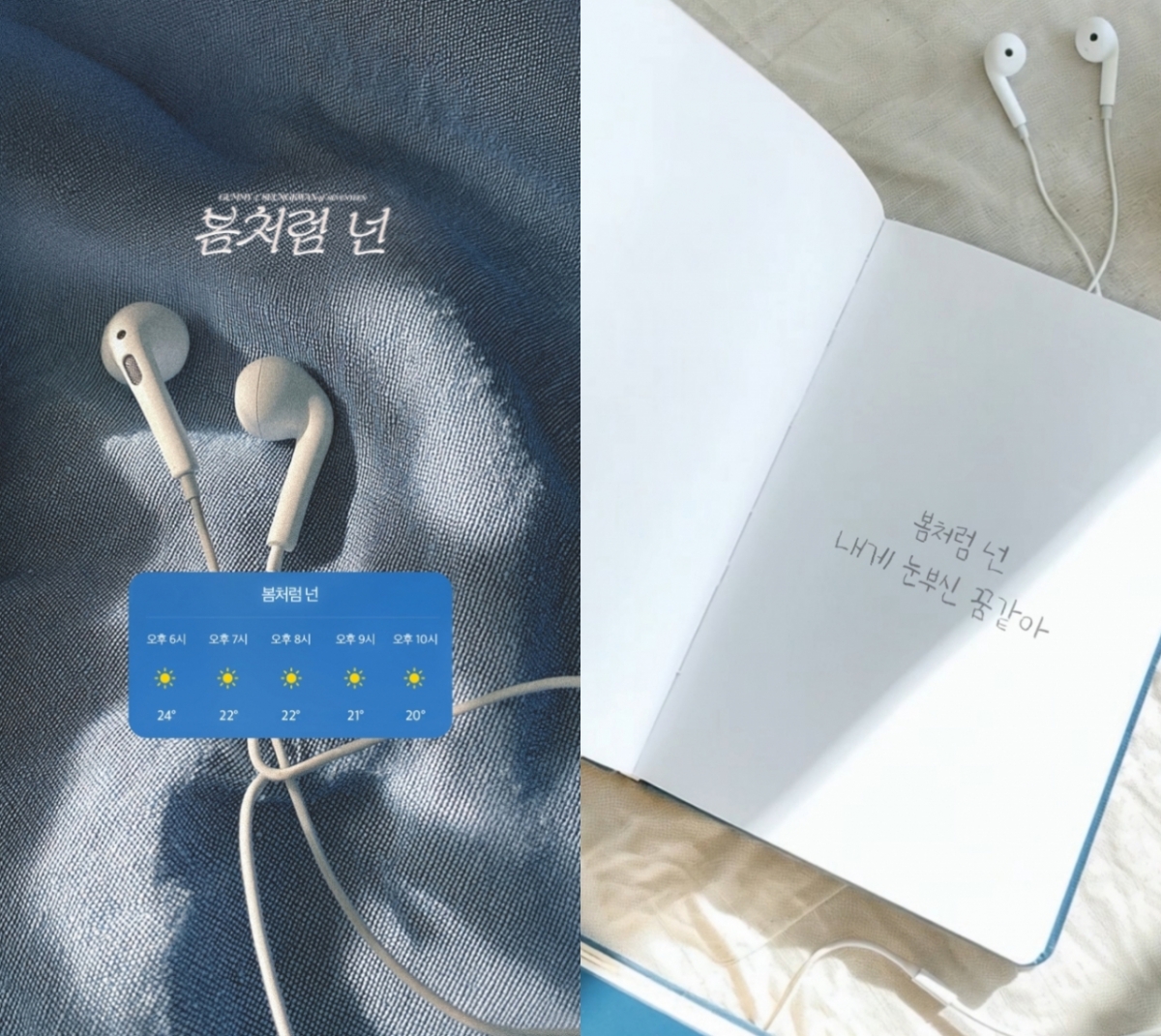 Photo courtesy: Amoeba Culture