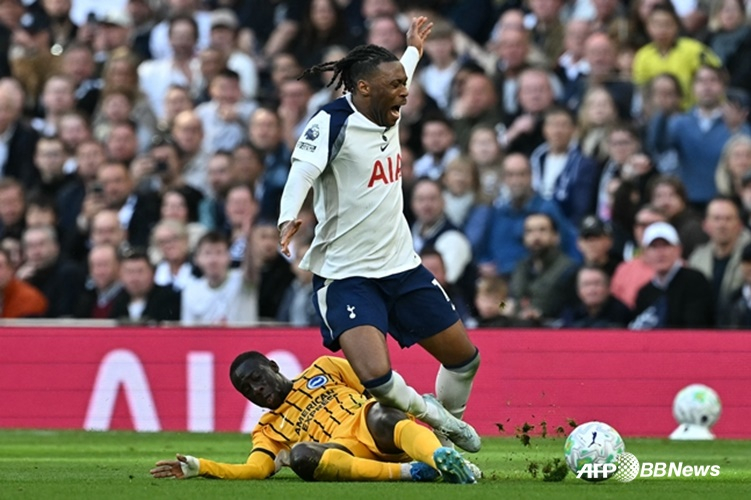 托特纳姆热刺队后卫德斯蒂尼•乌多吉。 =法新社BBNews=新闻1。