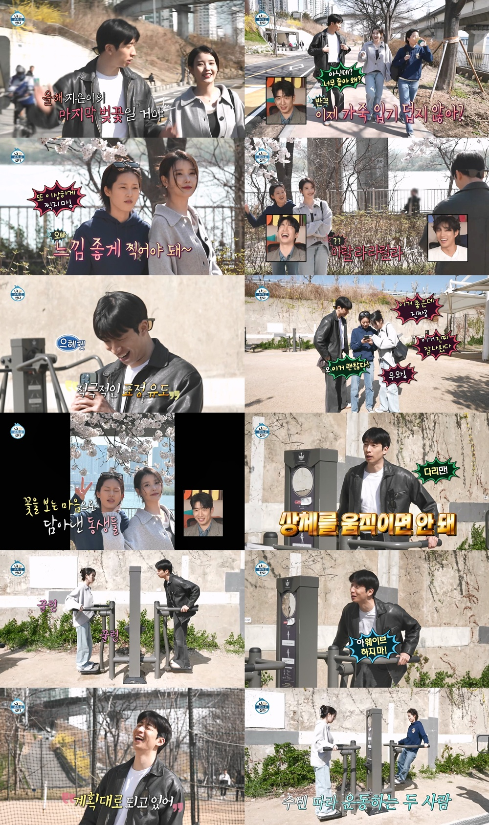 아이유, 절친 위해 '나혼산' 떴다..벚꽃 구경→한강 운동까지