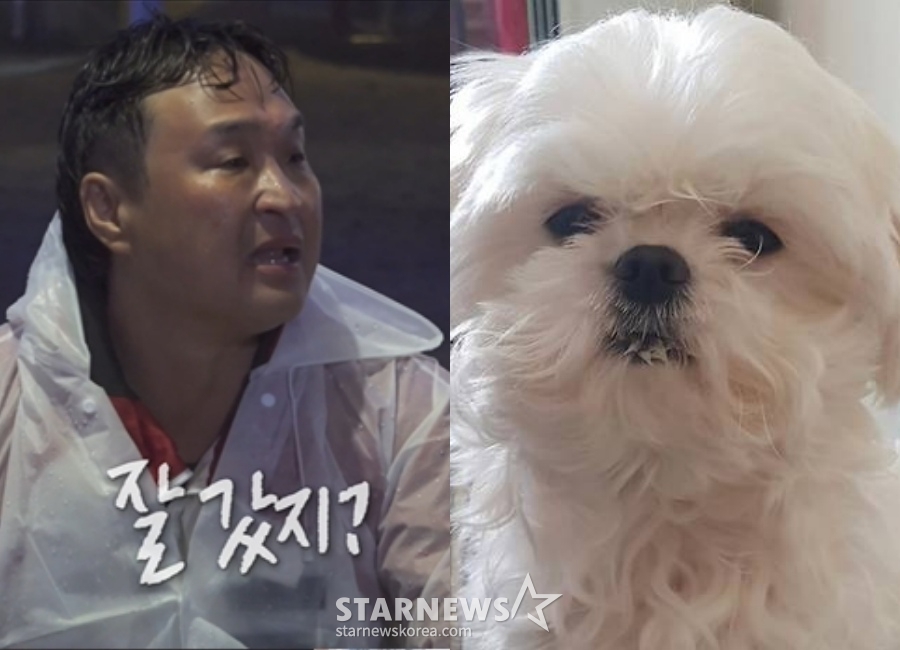 "꽃분아, 잘 갔지?"..오열한 구성환 '나혼산' 최고의 1분[종합]