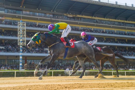 'Success Backpa' and jockey Jin Gyeom / Photo provided by Korea Racing Authority