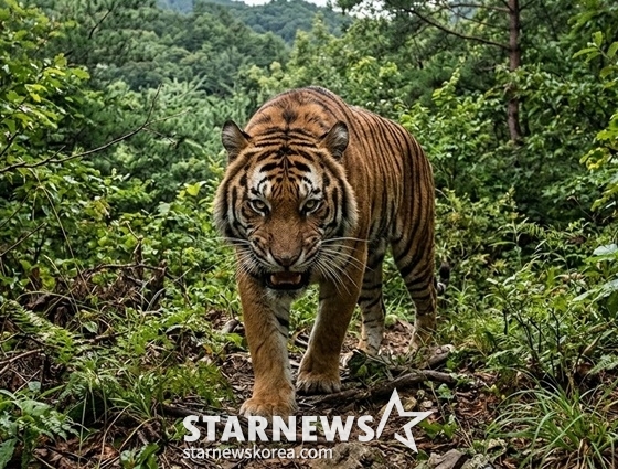 Star News / Ảnh = Hình ảnh được tạo ra từ AI