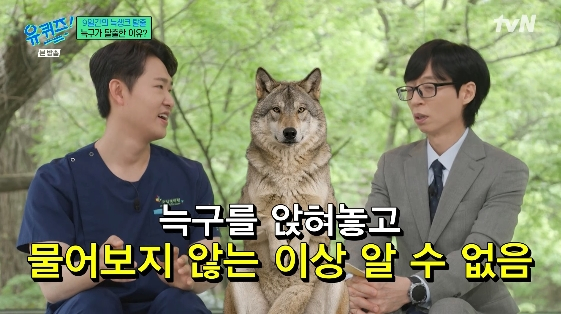 /Фото = развлекательная программа tvN "Юквизия на блоке"