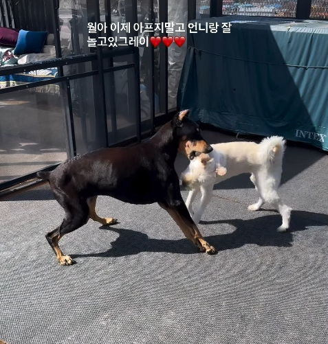 /Photo=Bae Jung-nam's personal account
