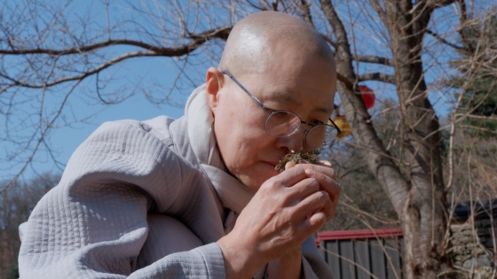 =禅在大师/照片="李旭正PD的佛祖饭桌"