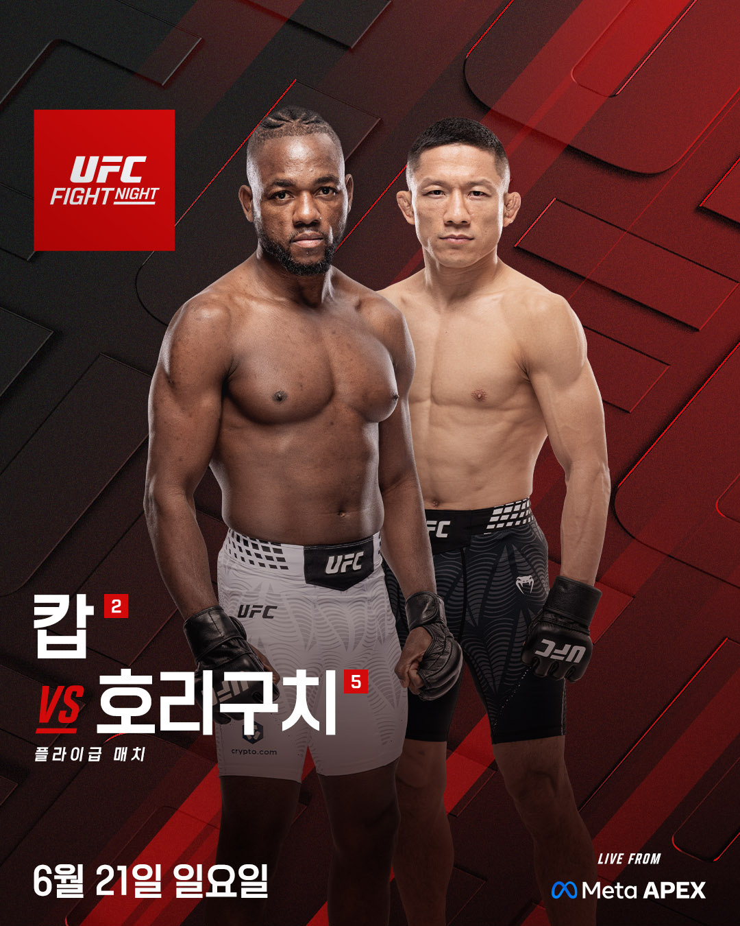 堀口とコップのマッチポスター。 /写真=UFC提供