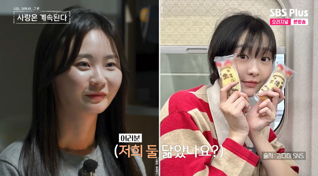 =照片:SBS Plus《我率四季》播出画面。