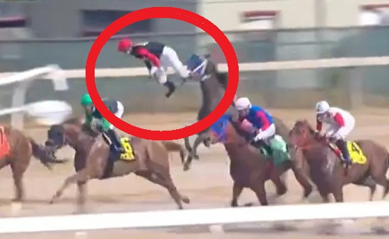 Gyeongju race: Jockey Edgardo Zayas (red circle) bouncing off 'Glint'. /Photo=The Sun archive