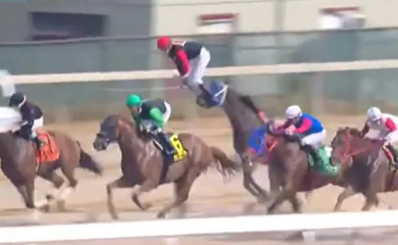 Gyeongju race: Jockey Edgardo Zayas bouncing off 'Glint'. /Photo=The Sun archive
