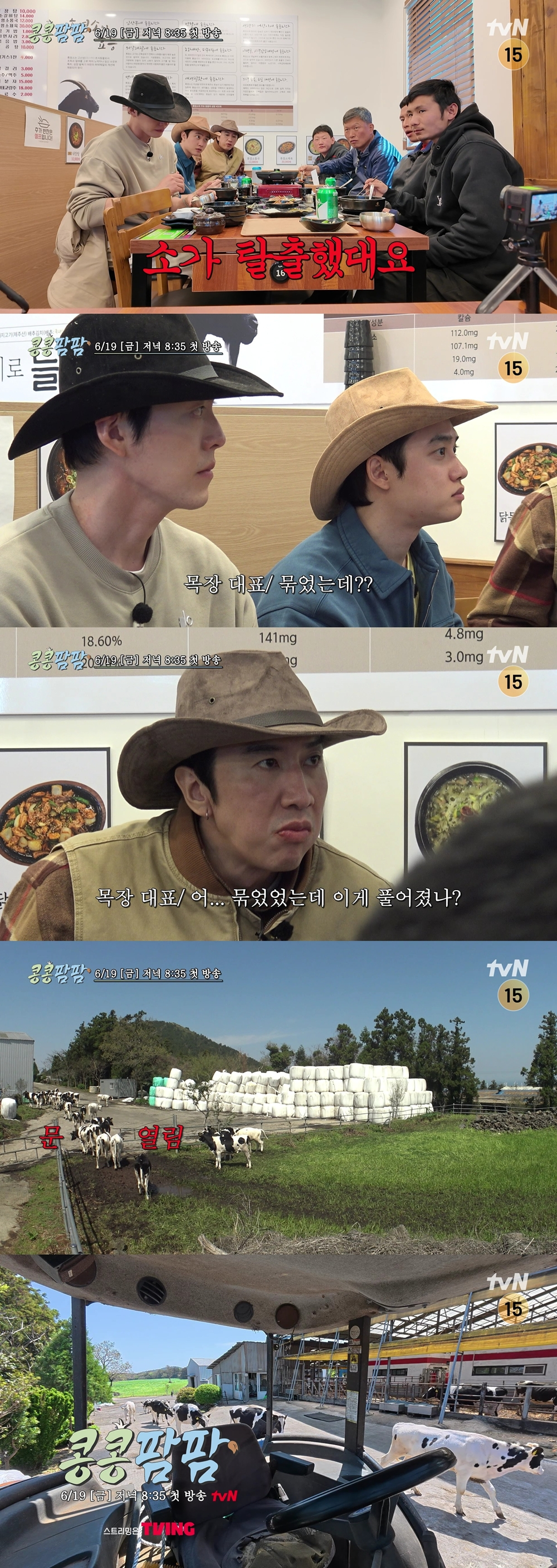 写真=tvN コンコンファーム パーム