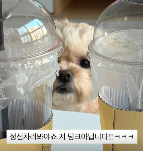 /Photo=Lee Ye-rim Instagram