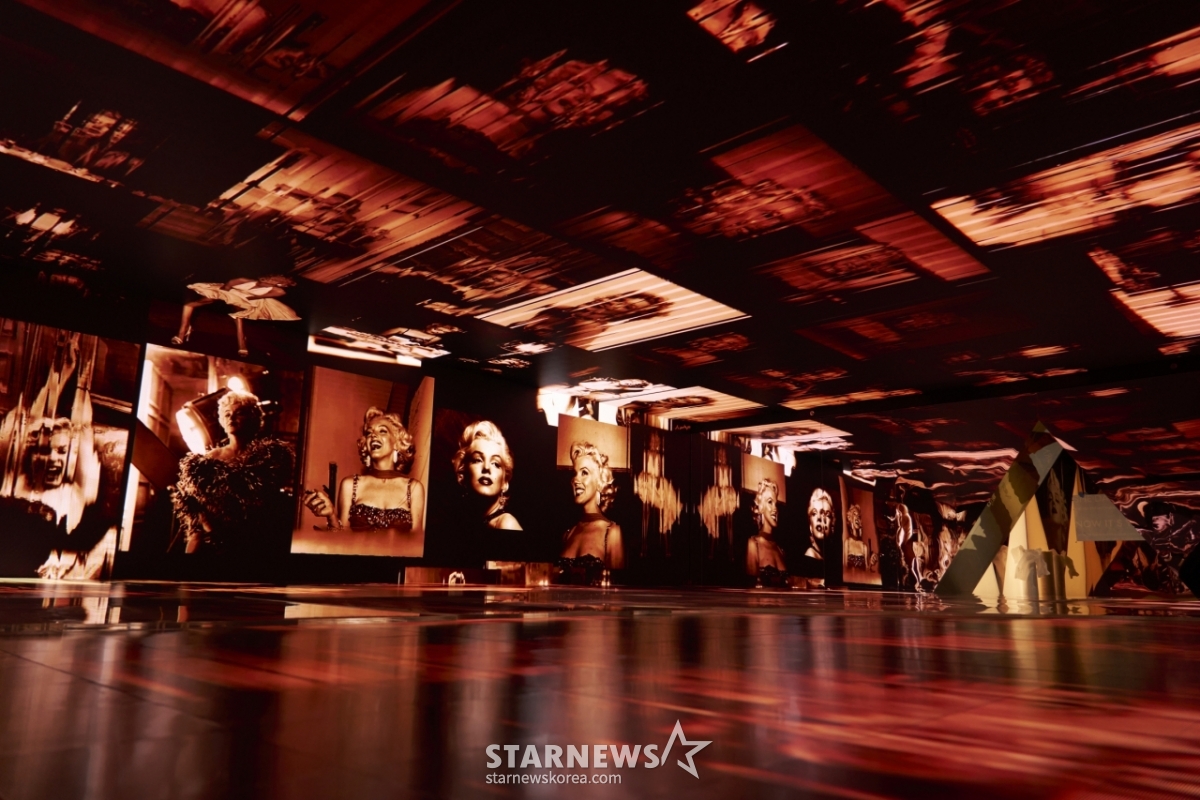 Overview of 'The Screen Experience' Exhibition