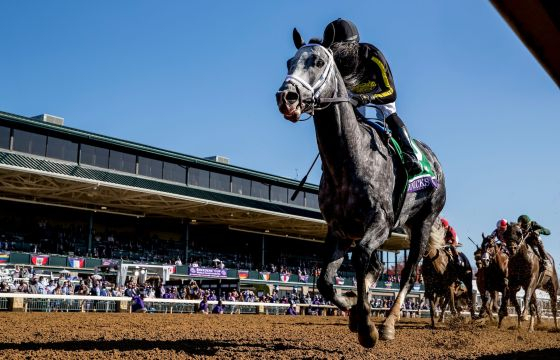/Photo provided by Korea Racing Authority