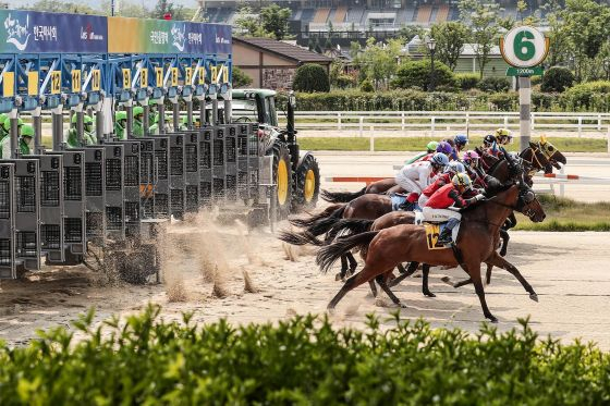 /Photo provided by Korea Racing Authority