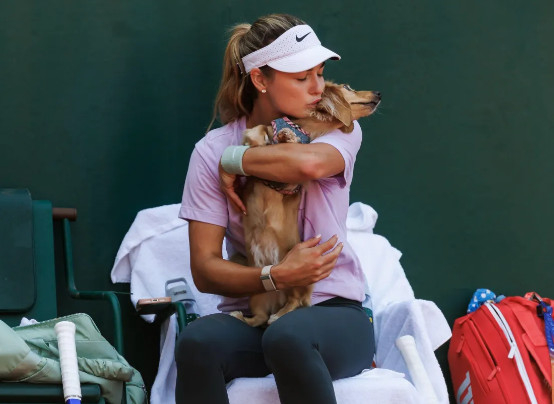 アンナ·カリンスカヤがペットの犬を持っている。 /写真=ザ·サン 映像仕上げ