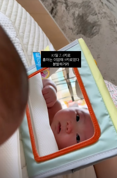 /写真=にゃんこ作家SNS