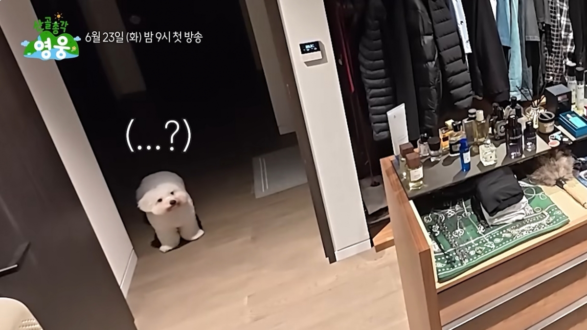 /写真=映像キャプチャ