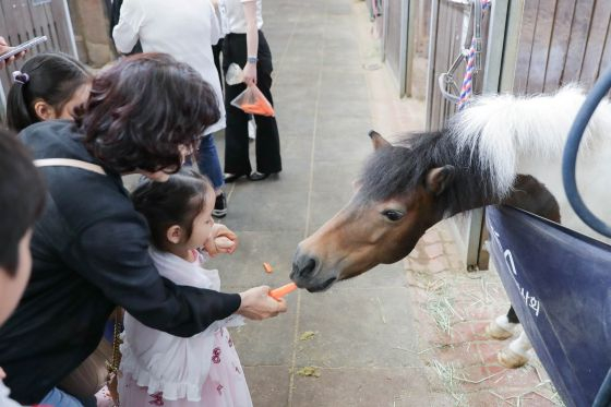 /Foto proporcionada por la Sociedad Coreana de Carreras de Caballos