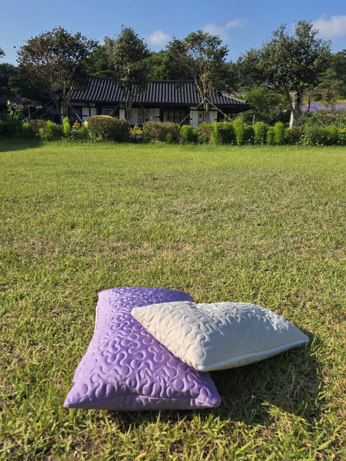 Pillows made from lavender grown at Cheongnongwon are said to aid in deep sleep.