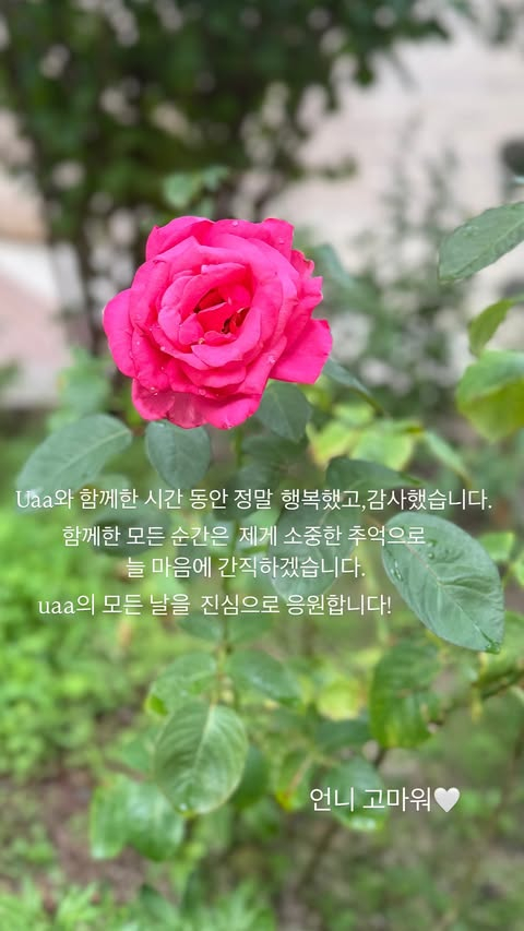 /Ảnh = Tài khoản cá nhân của Song Hye Kyo