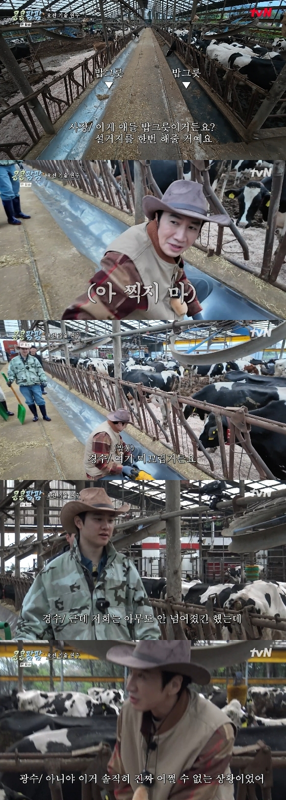/Foto= Programa de variedades de tvN «Kong Simeun De Kong Naneun GagoPam Hagopam Dongmulnjang» (en adelante «KongKongPamPam»)