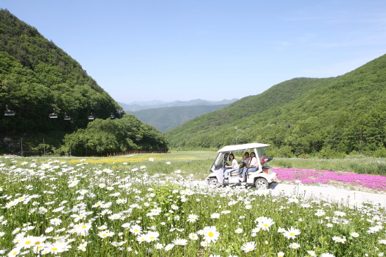 /Cung cấp ảnh = Kangwon Land