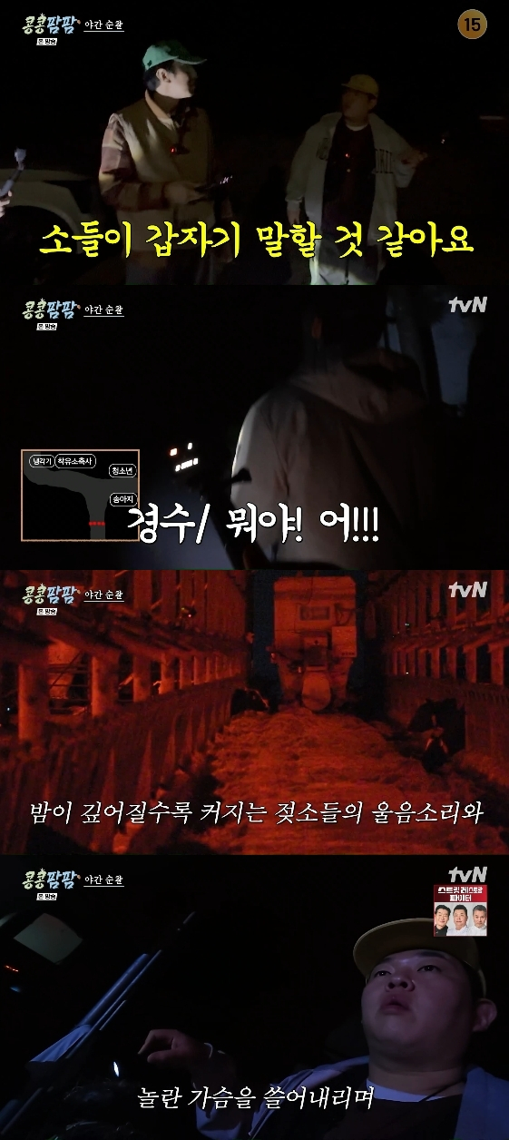 /Photo= tvN variety show 'Where Beans Grow, Go Farm, Ha Farm Animal Farm' (hereinafter 'KongKongPamPam')