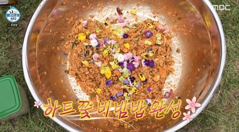 /Photo=MBC 'I Live Alone'