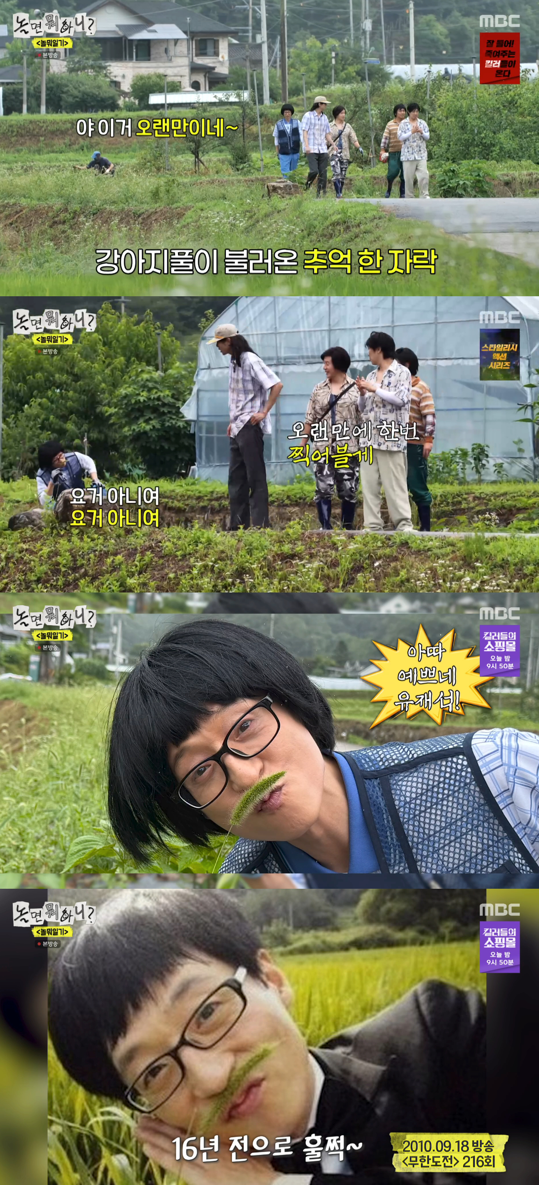 /Photo=MBC 'What Do You Do?' broadcast screen