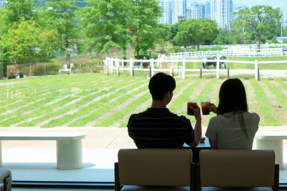 /Photo provided by Korea Racing Authority