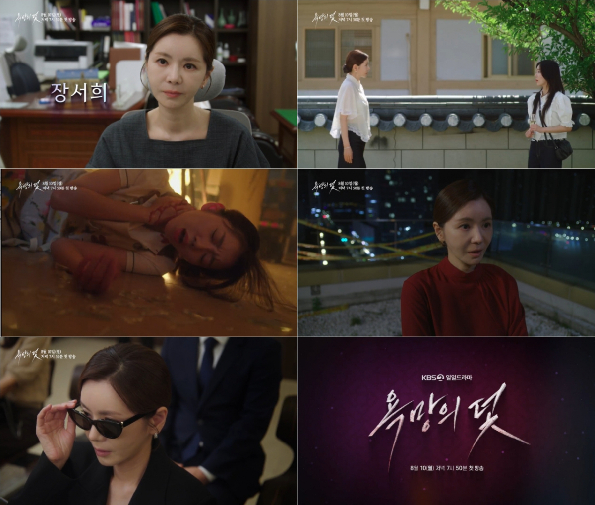 /사진=KBS 2TV '욕망의 덫'