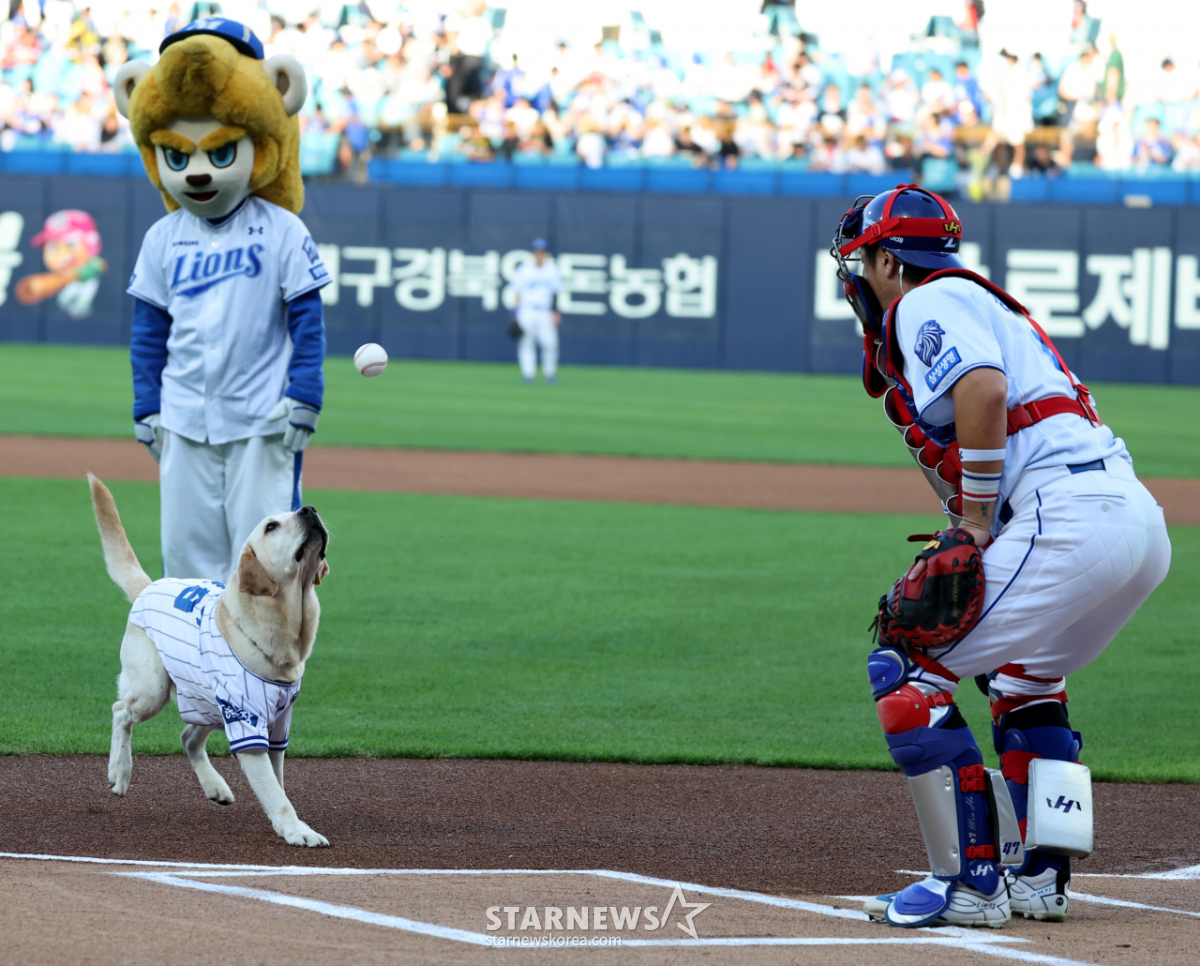 [포토] '마이볼!' 구조견 토백이