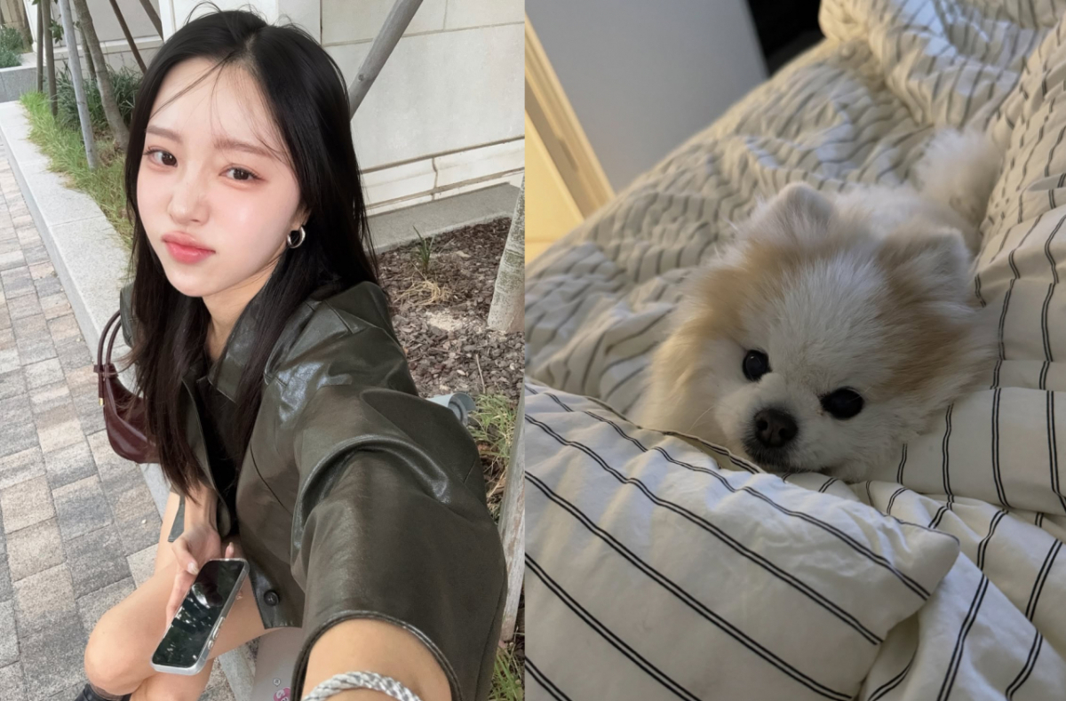 '박성광♥'이솔이, 반려견 생사 오간 밤..한마디에 먹먹