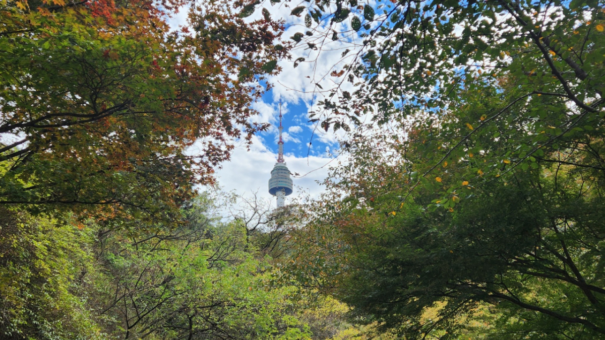 [K-TRAVEL(16)]서울 남산 둘레길...가을 도심속 비밀의 숲을 걷다