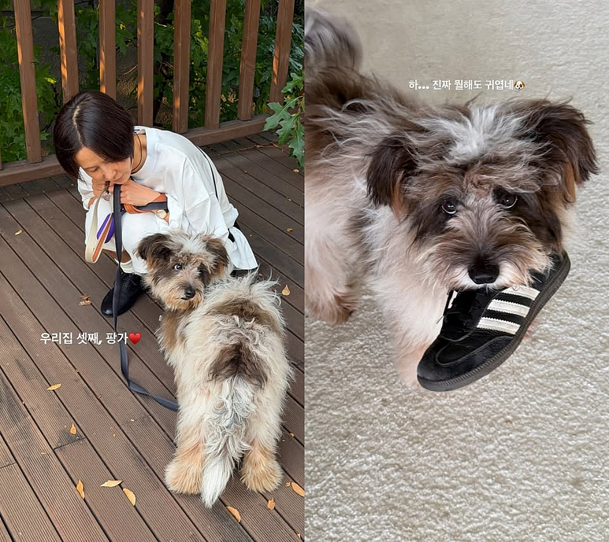 '마이큐♥' 김나영, '우리 집 셋째' 자랑 "뭘 해도 귀여워"
