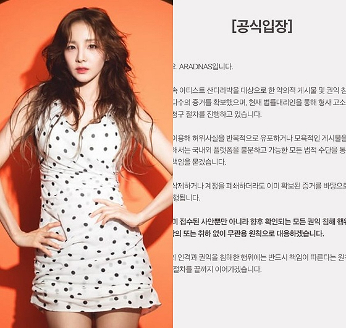 [공식] "증거 확보, 소 취하 없다"..산다라박, 악플러 형사 고소 [전문]