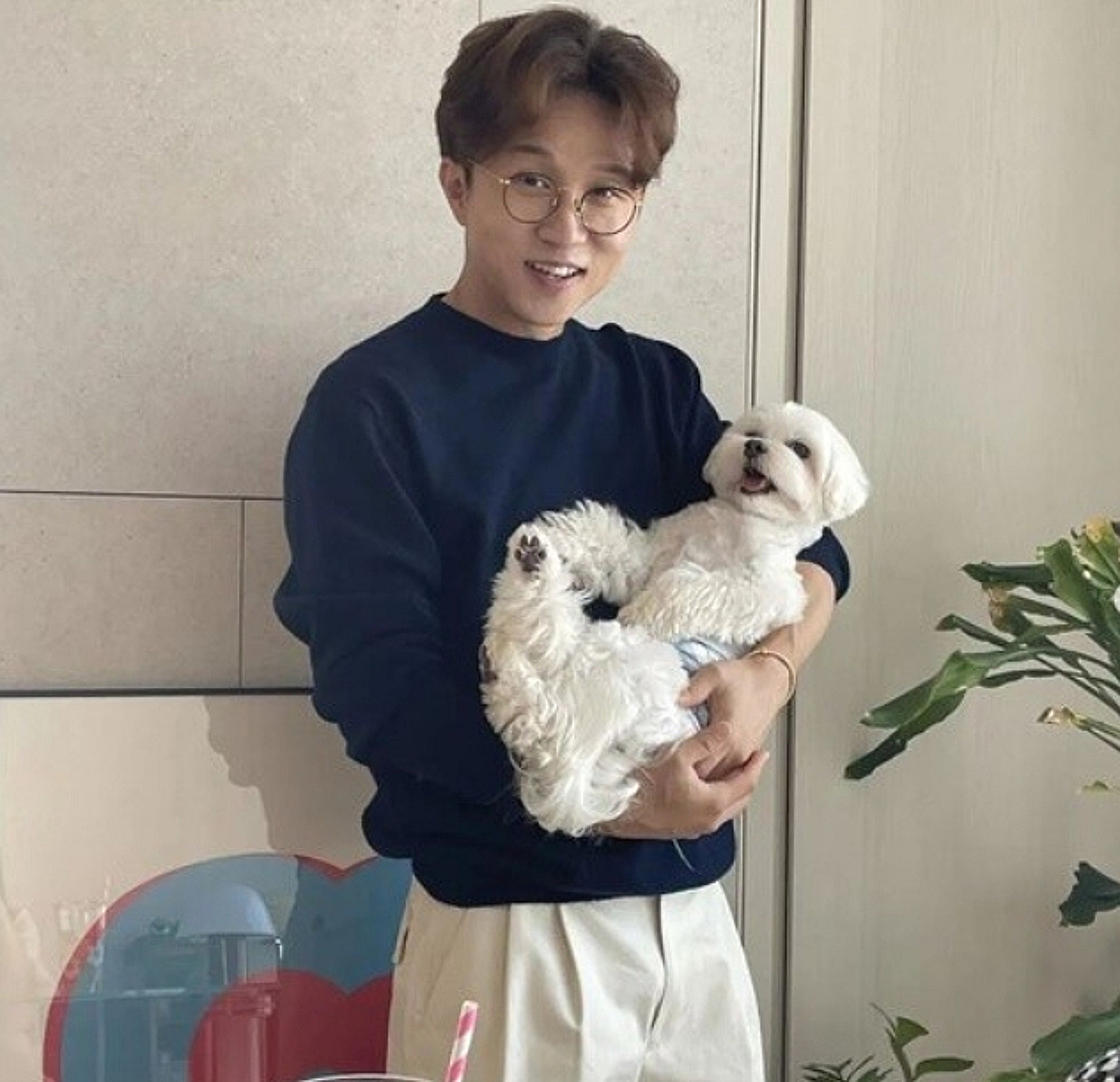 '이혼 의혹' 이솔이, SNS에 올린 박성광 반려견 '광복이' 사진 [스타이슈]