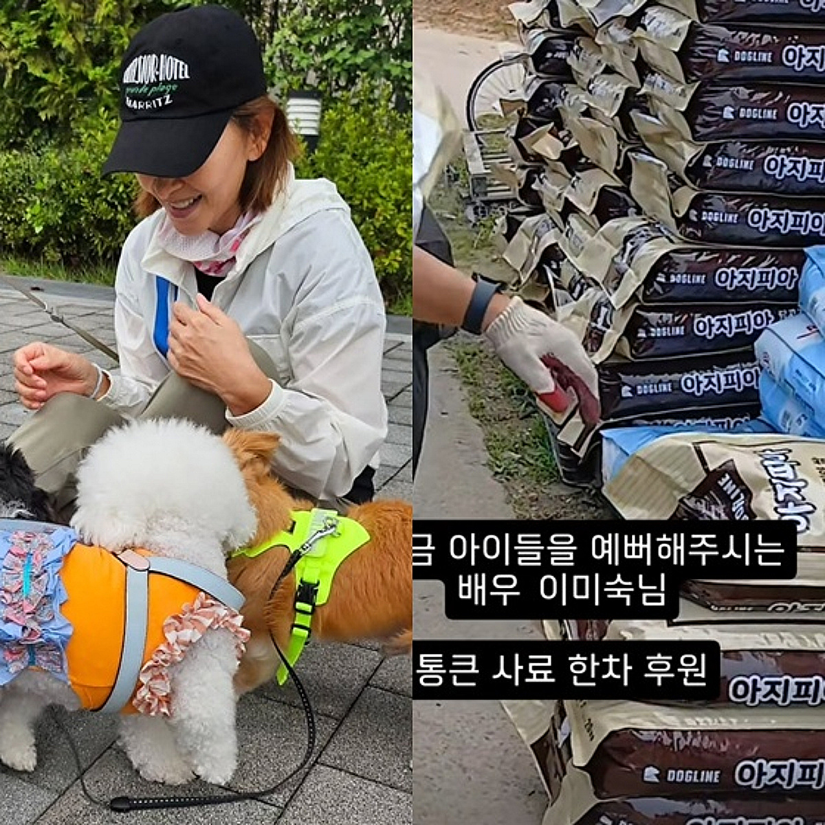 "값비싼 사료 보내주겠다고.." 이미숙, 남몰래 유기견보호소 기부 [스타이슈]