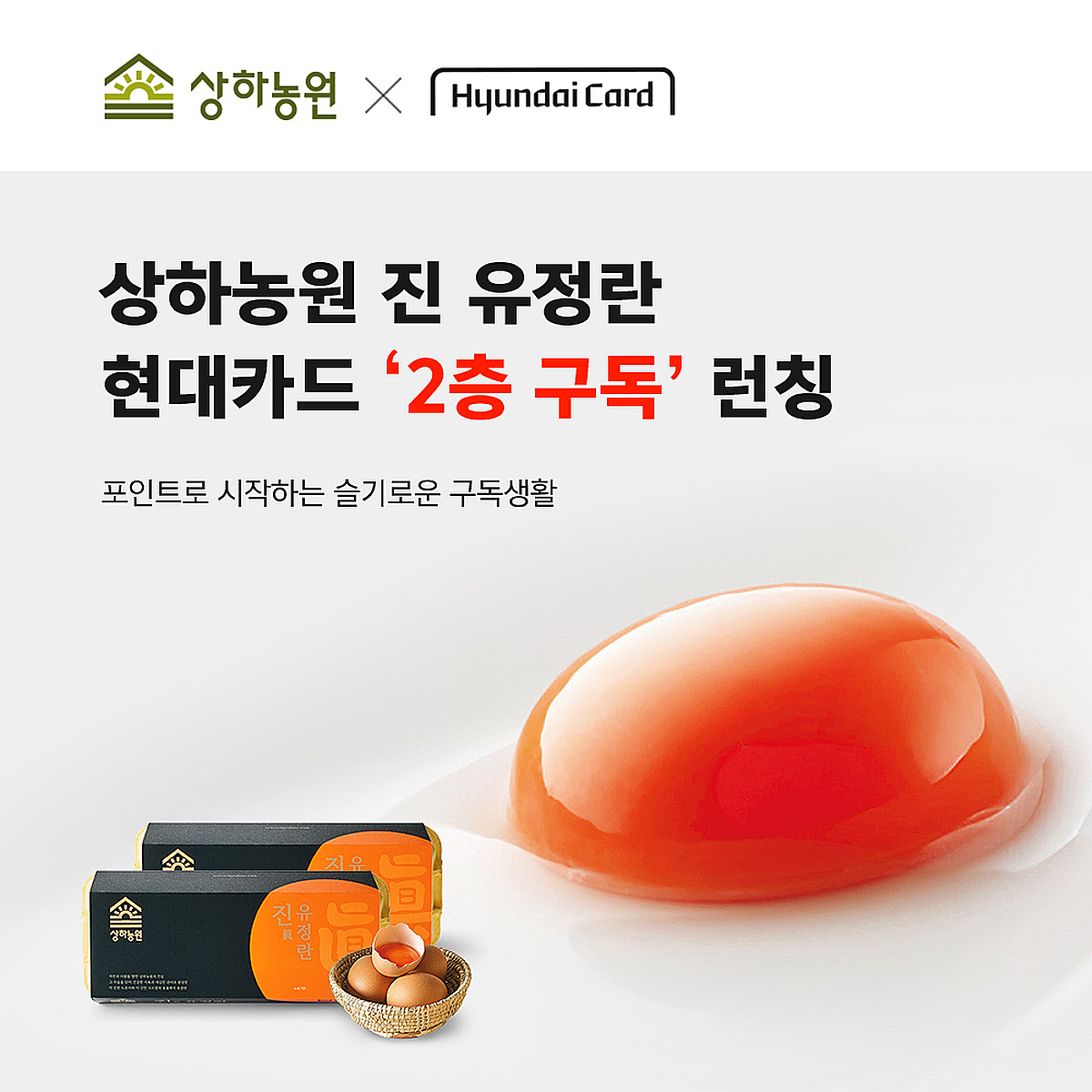 매일유업 상하농원, 진(眞)유정란 현대카드 '2층 구독' 론칭