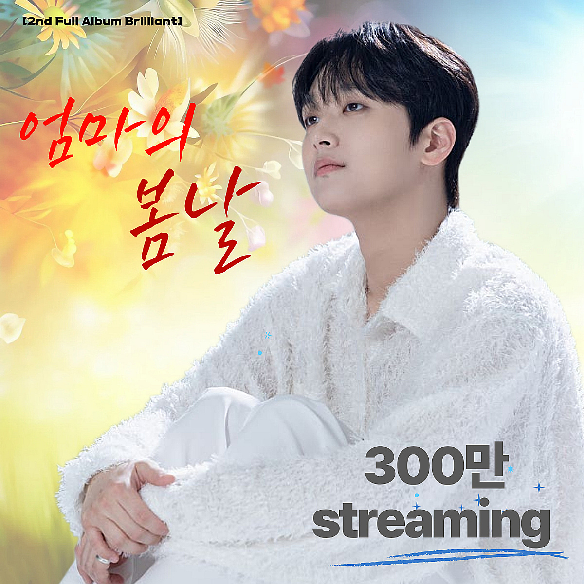 "우리 언젠가 다시 만나요" 이찬원 '엄마의 봄날' 음원 영상 300만뷰