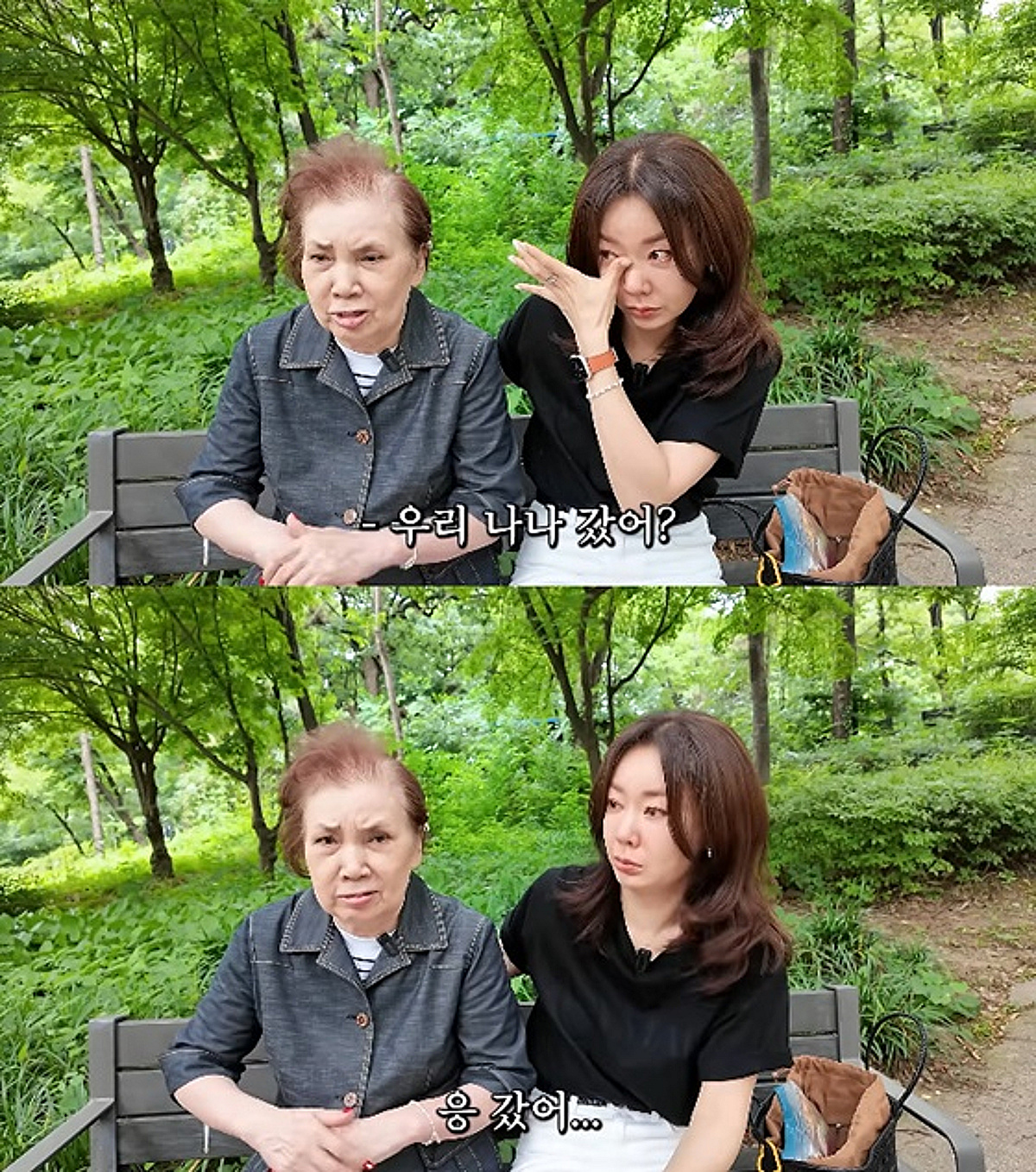 안선영, 세상 떠난 반려견에 눈물 "치매 母 쓰러지기 일주일 전 떠나" [이중생활]