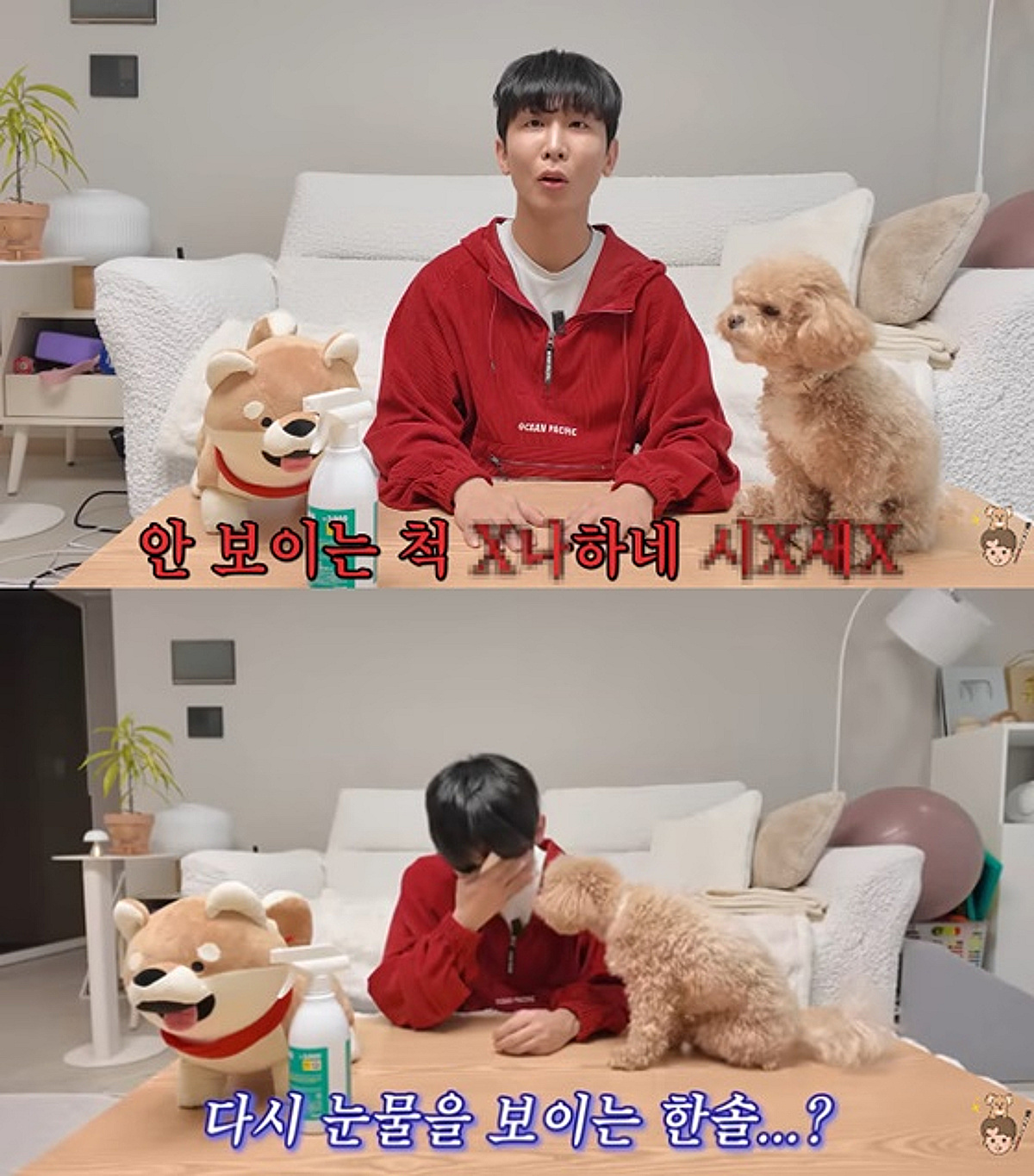 "안 보이는 척 대국민 사기극"..시각장애 김한솔, 여전히 악플에 고통 [원샷한솔]